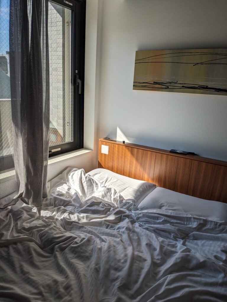 Beat Allergic Rhinitis: How to Prep and Avoid It When Traveling