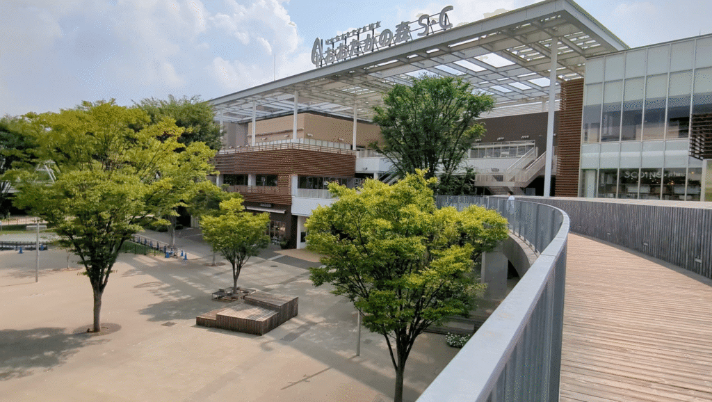 View of Nagareyama Otakanomori Station shopping centers