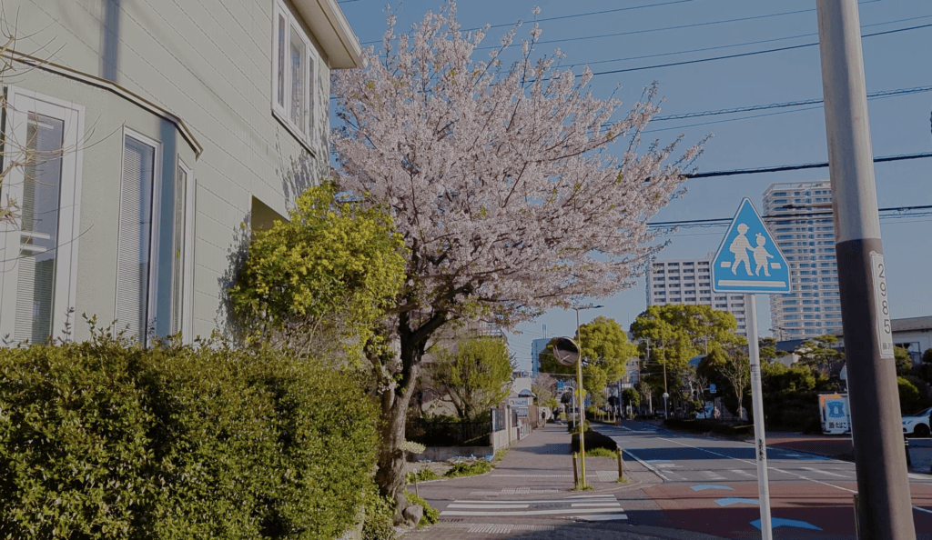 walking around tsujido, fujisawa