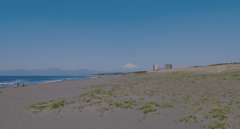 tsujido coast with mt fuji
